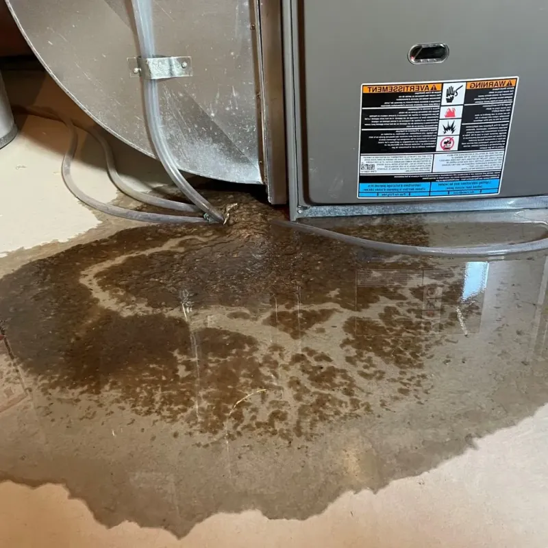 Pipe Burst and Leak Restoration in Lisbon Falls, ME