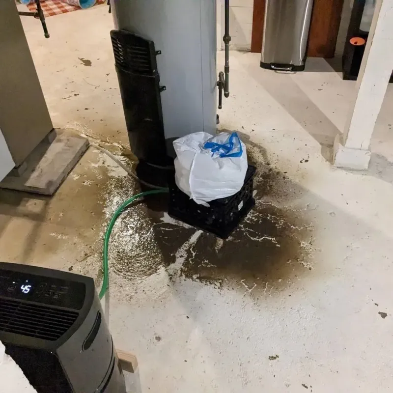 Sewage Backup Cleanup Service in Lisbon Falls, ME